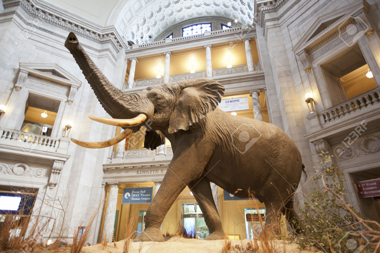 Interpol y aquella visita al museo: Mammoth