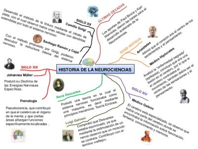 mapa-mental-breve-historia-de-la-neurociencia-2-638