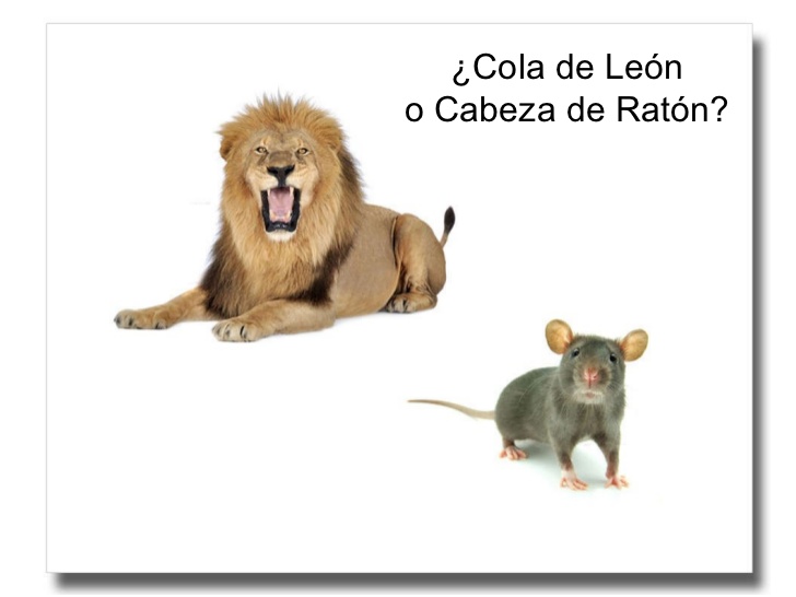 Fondo de armario. Cabeza de ratón o cola de león. Por Carlos Ruf.